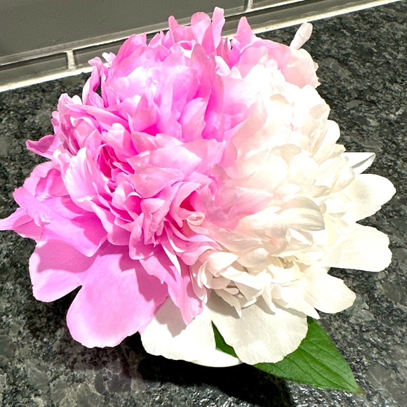 Meet your Posher, Michelle - Picture 8 of 8